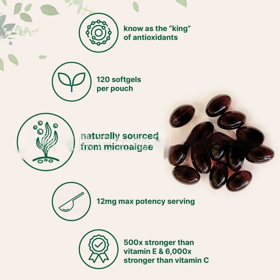 Astaxanthin Soft Capsules – 120 Tablets | Antioxidant Supplement for Skin, Eyes & Vitality