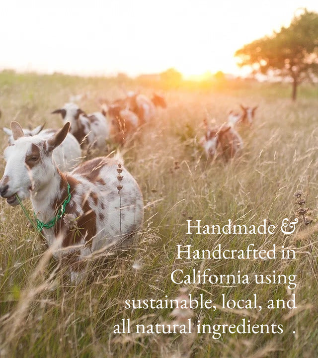 Apricot &amp; Freesia | Goat Milk Hand &amp; Body Lotion