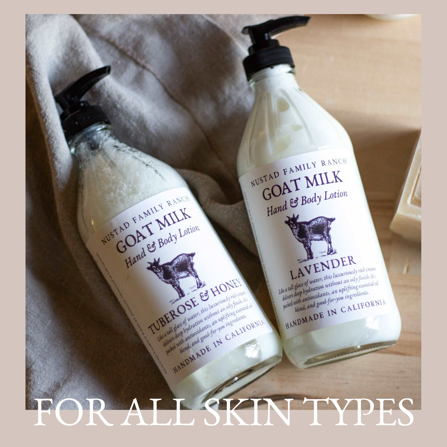 Apricot &amp; Freesia | Goat Milk Hand &amp; Body Lotion
