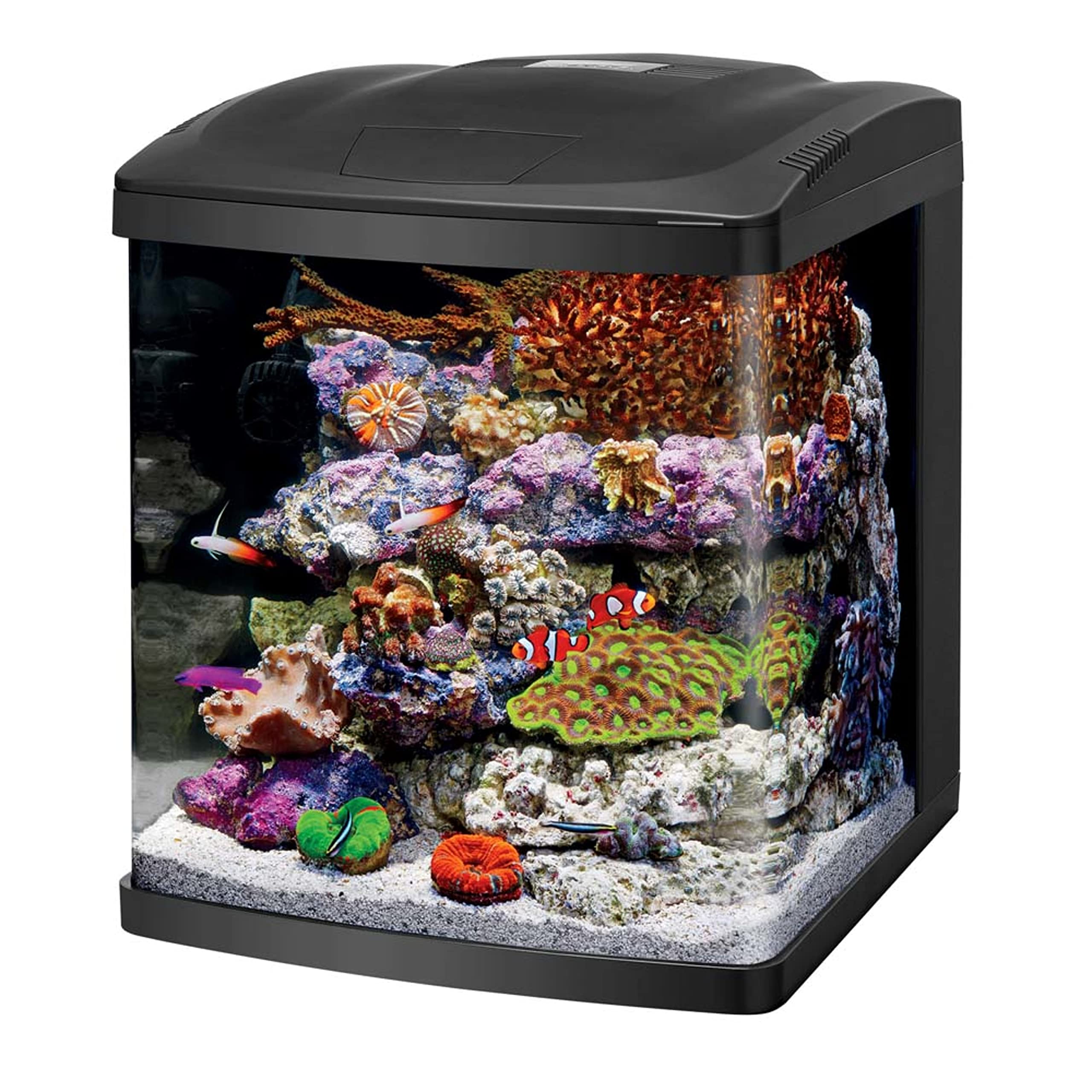 Coralife LED BioCube 16 Gallon Aquarium Kit – Complete Starter Fish Tank with Filtration &amp; Timer