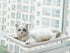 Pet Window Hammock Cat Bed good
