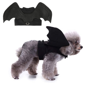 Halloween Bat Pet Costume